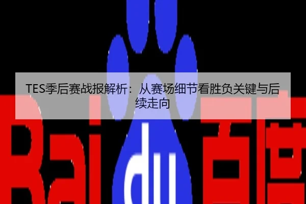 TES季后赛战报解析：从赛场细节看胜负关键与后续走向